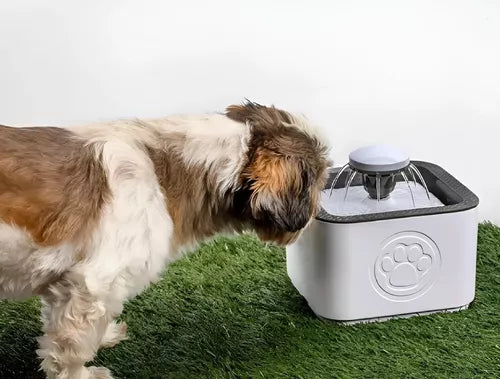 FUENTE DISPENSADOR DE AGUA PARA MASCOTAS